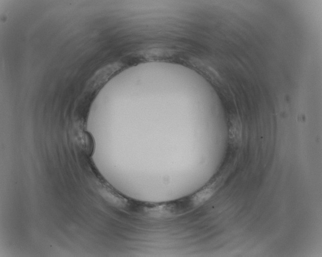 X0000071800430200607211651