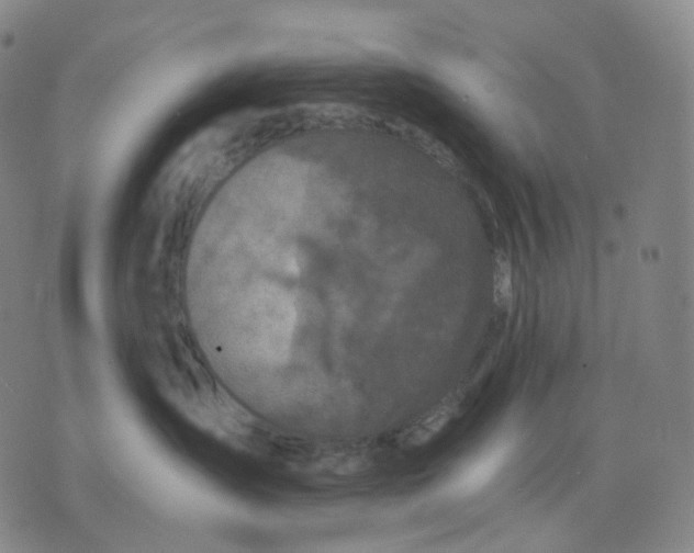 X0000071800431200607211651