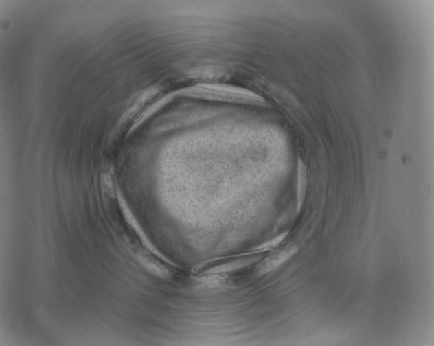 X0000071800432200607211651