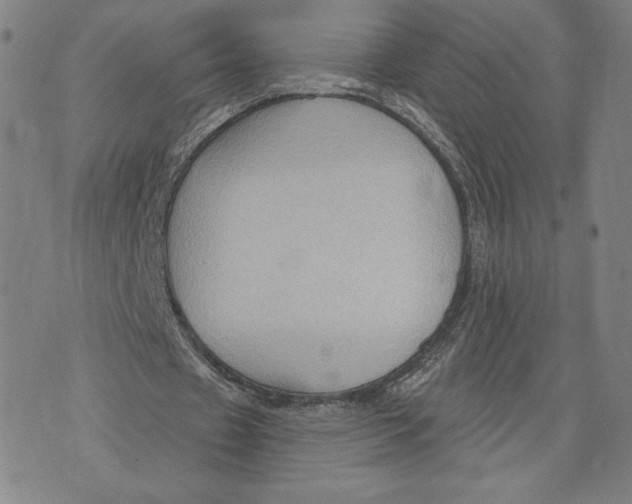 X0000071800433200607211651