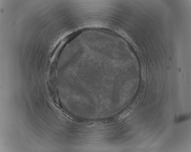 X0000071800434200607211651