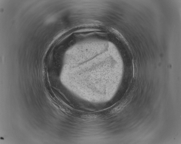 X0000071800435200607211651