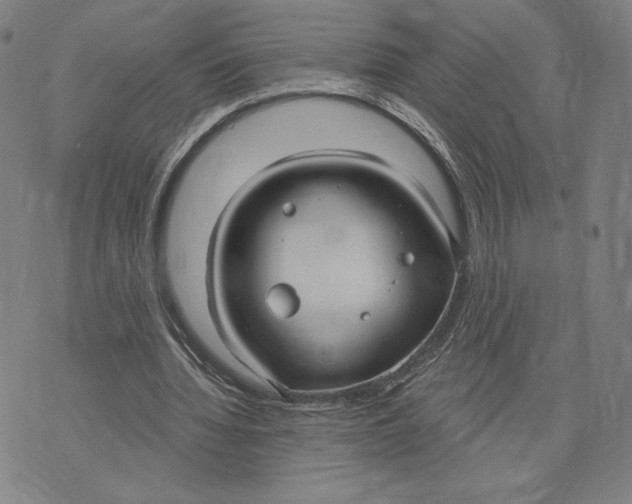 X0000071800436200607211651