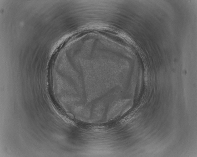 X0000071800438200607211651