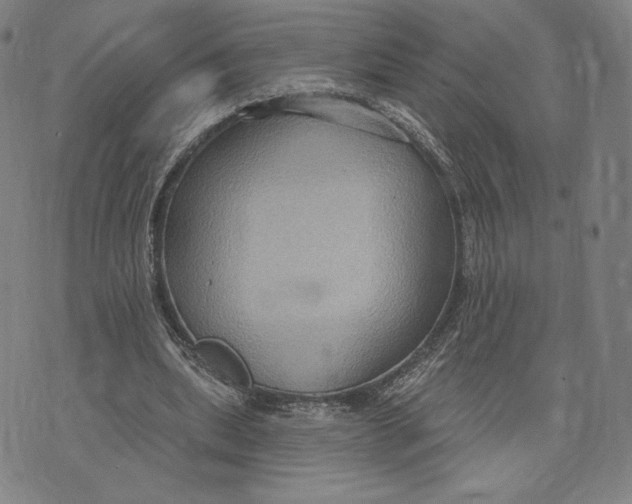 X0000071800439200607211651