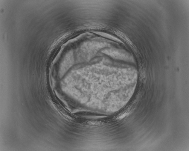 X0000071800442200607211651