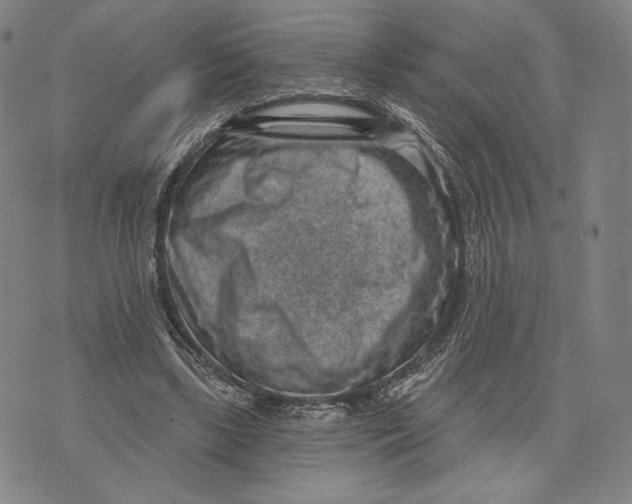 X0000071800443200607211651