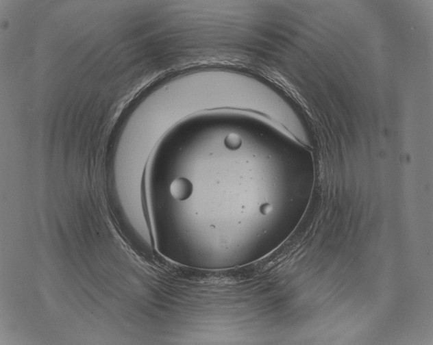 X0000071800444200607211651