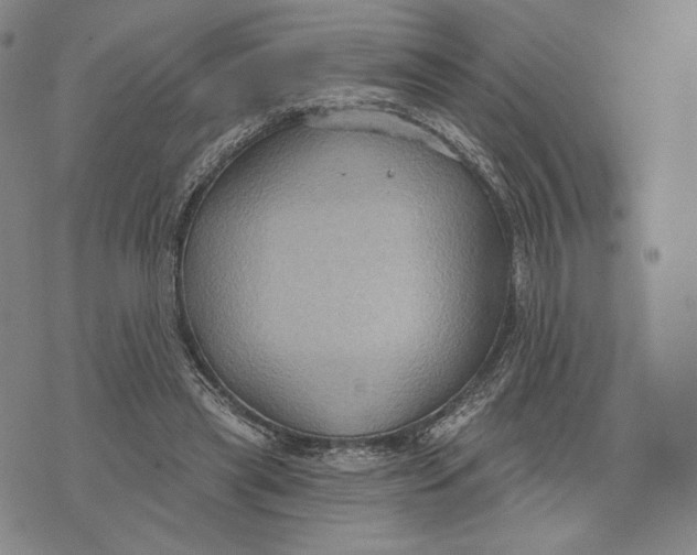 X0000071800445200607211651