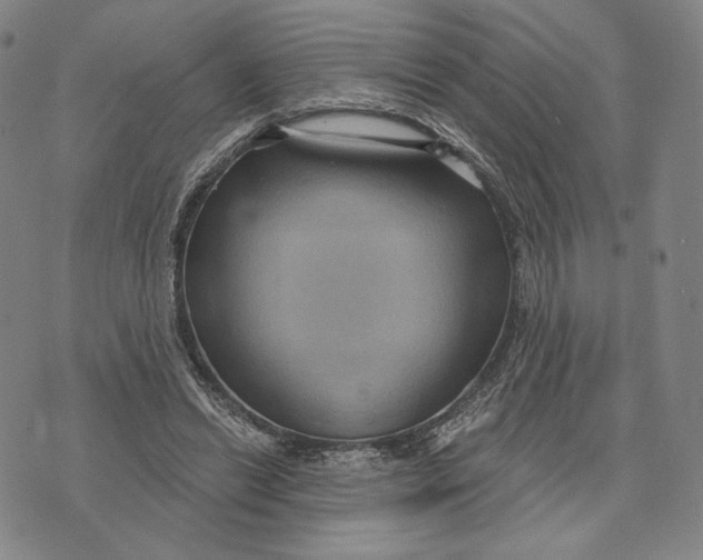 X0000071800446200607211651