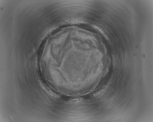 X0000071800447200607211651