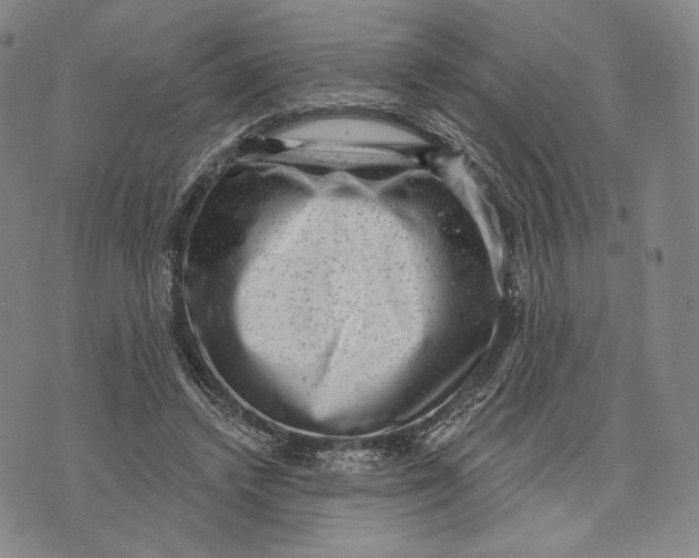 X0000071800448200607211651