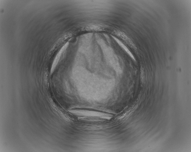 X0000071800449200607211651