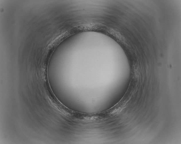 X0000071800450200607211651