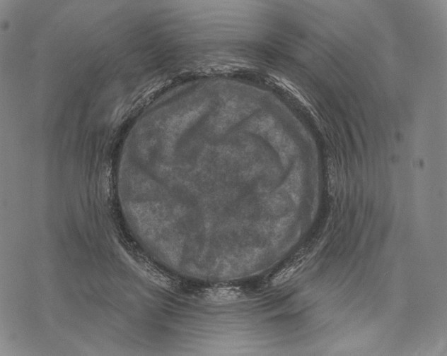 X0000071800451200607211651