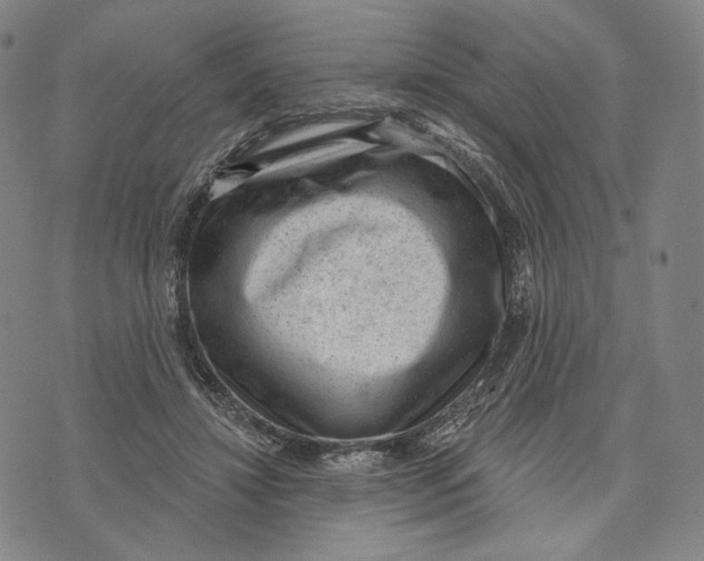 X0000071800452200607211651