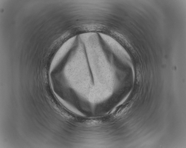 X0000071800453200607211651