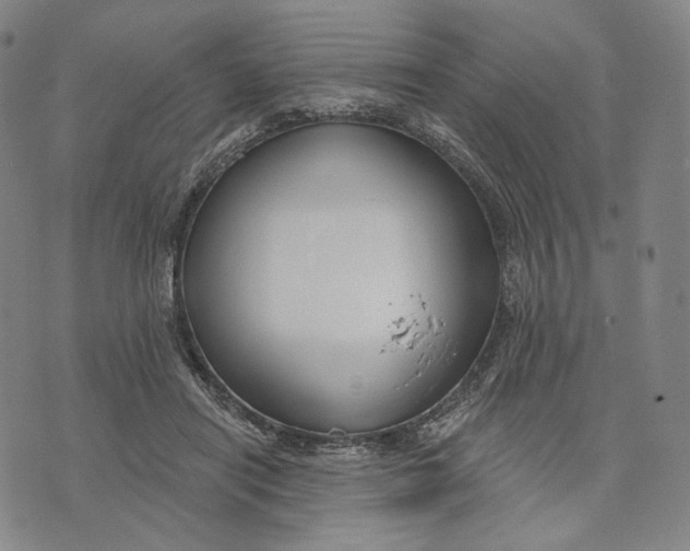 X0000071800454200607211651