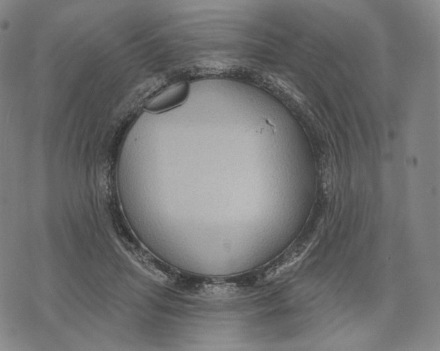 X0000071800455200607211651