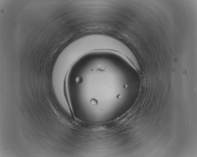 X0000071800456200607211651