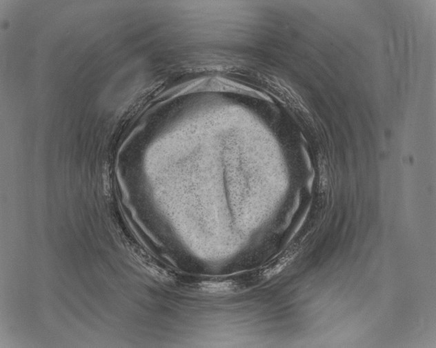 X0000071800457200607211651