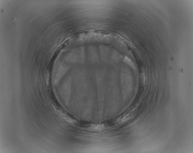 X0000071800458200607211651