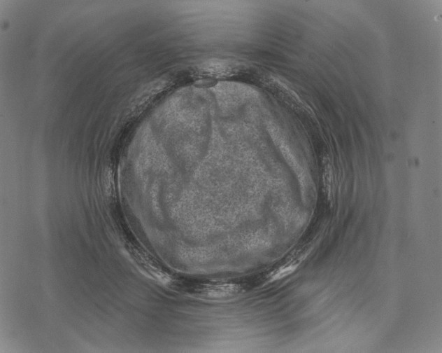 X0000071800459200607211651