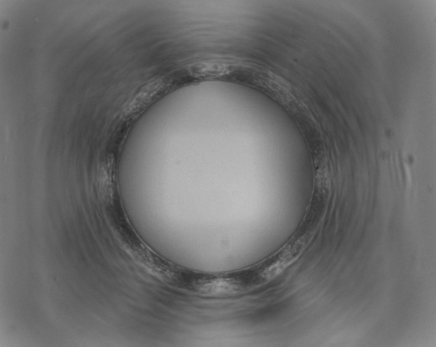 X0000071800460200607211651