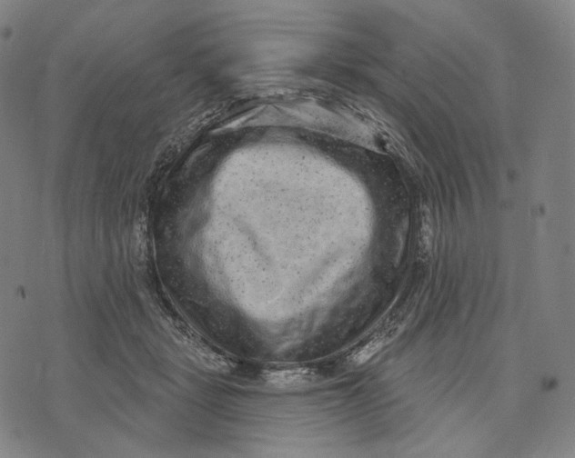 X0000071800461200607211651