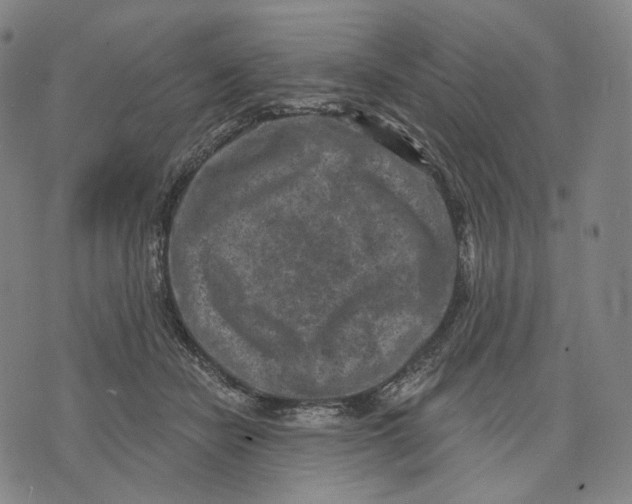 X0000071800462200607211651