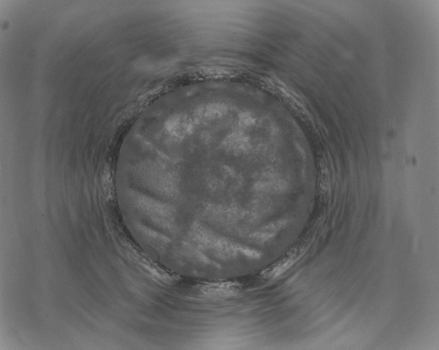 X0000071800465200607211651