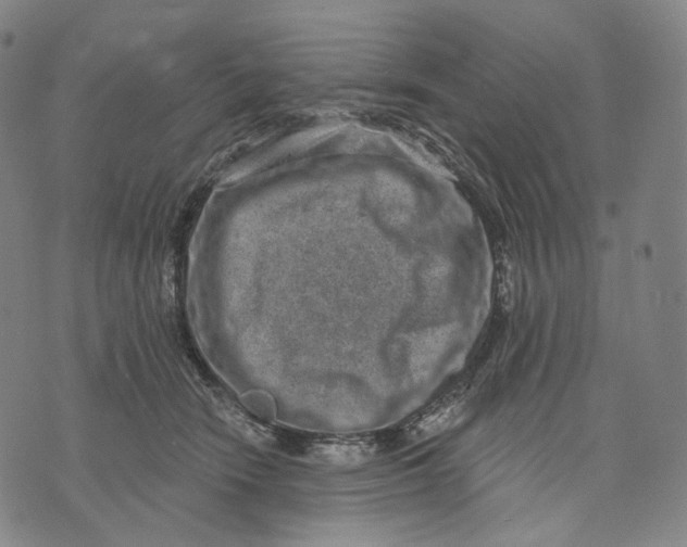 X0000071800466200607211651