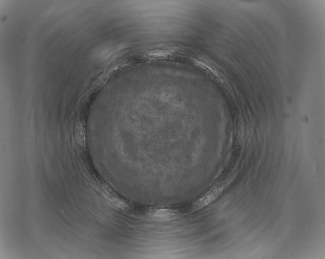 X0000071800467200607211651