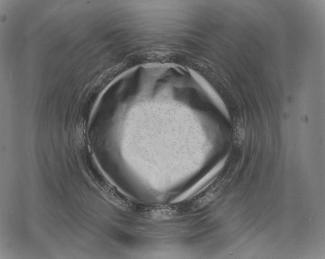 X0000071800468200607211651