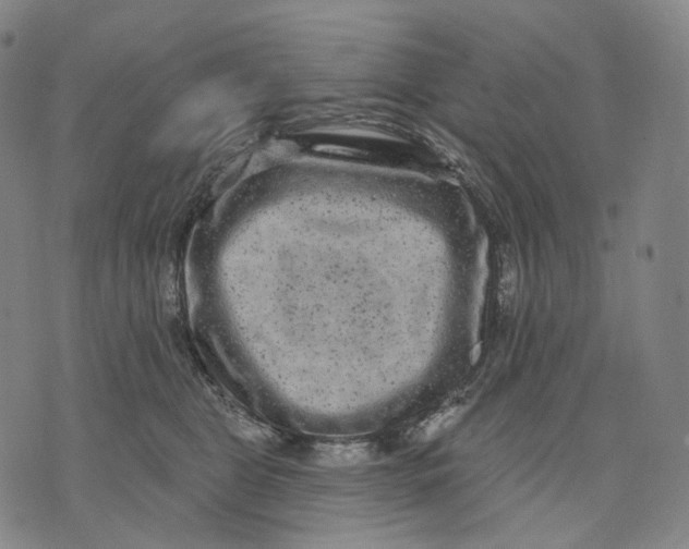 X0000071800469200607211651