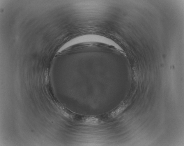 X0000071800471200607211651