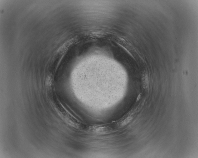 X0000071800472200607211651