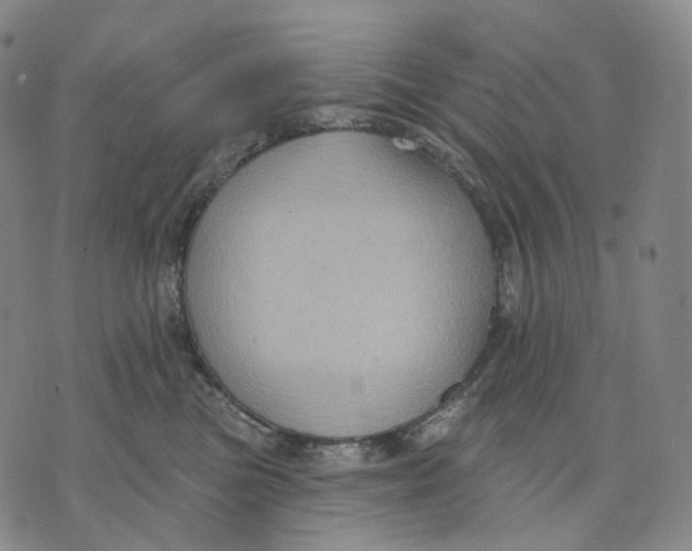 X0000071800473200607211651