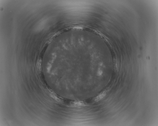 X0000071800475200607211651