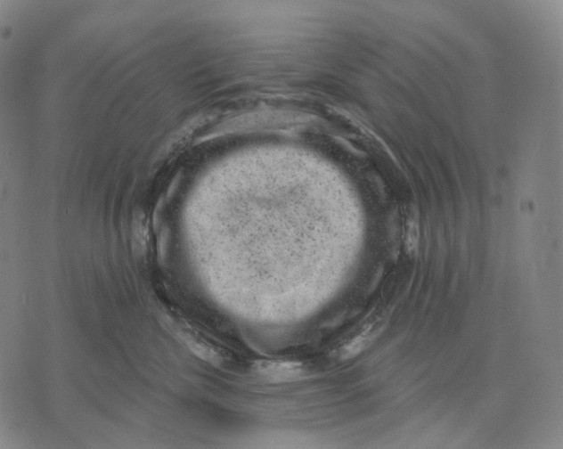 X0000071800476200607211651