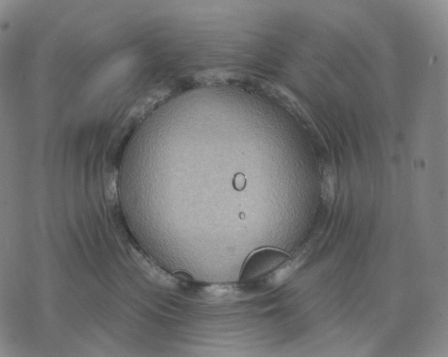 X0000071800477200607211651