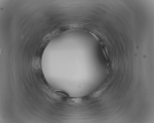 X0000071800478200607211651