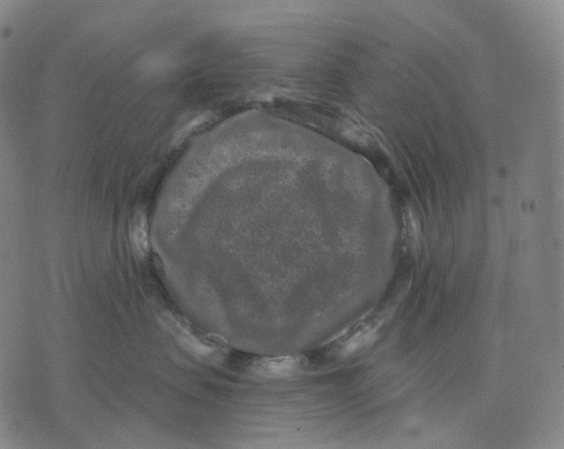 X0000071800479200607211651