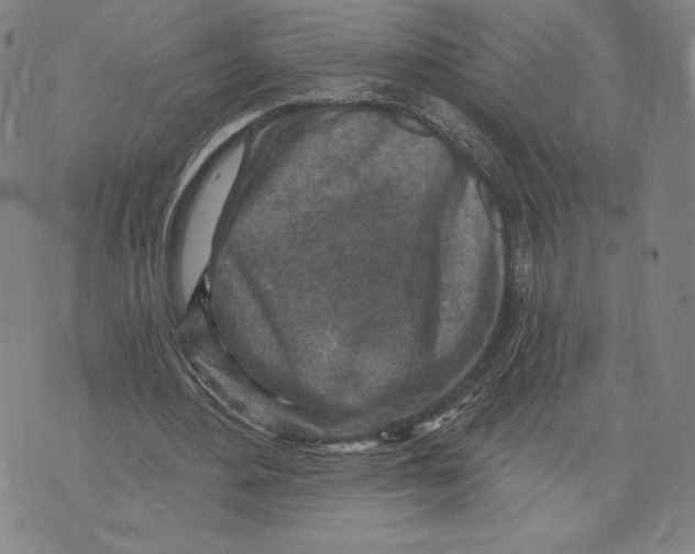 X0000071800484200607211651