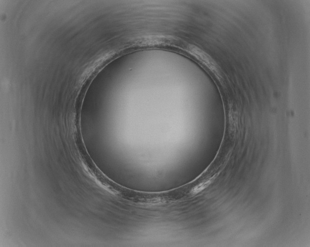 X0000071800485200607211651