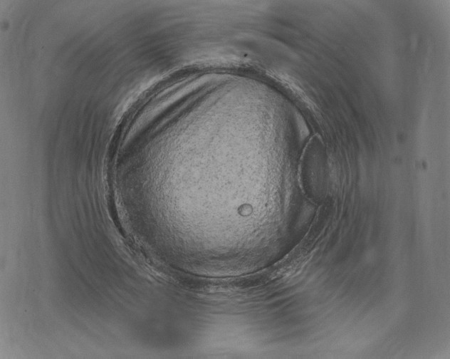 X0000071800487200607211650