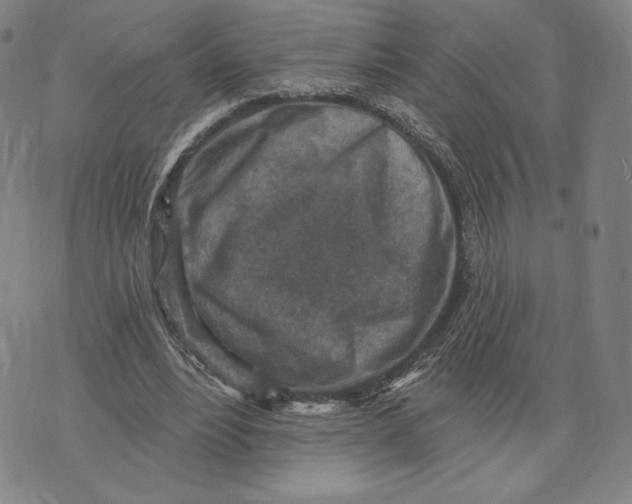 X0000071800488200607211650