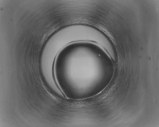 X0000071800489200607211650