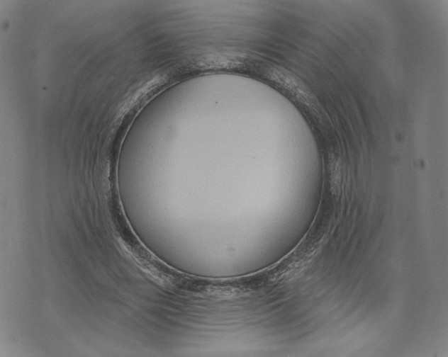 X0000071800490200607211650