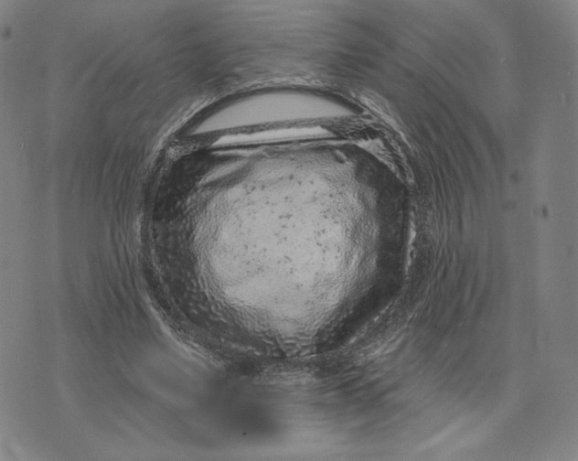 X0000071800491200607211650